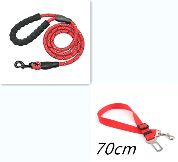 Reflective Dog Leash | Durable Nylon Training Leash for Small, Medium & Large Dogs
