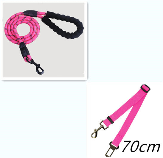 Reflective Dog Leash | Durable Nylon Training Leash for Small, Medium & Large Dogs