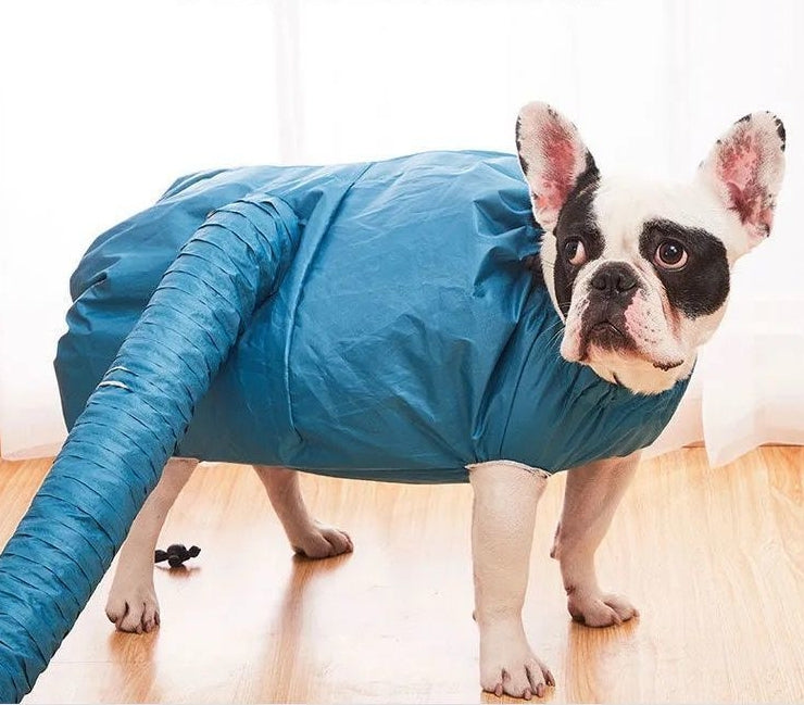 Dog Drying Bag for Bathing – Quick Dry Absorbent Pet Towel Coat