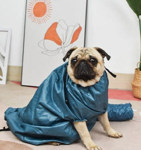 Dog Drying Bag for Bathing – Quick Dry Absorbent Pet Towel Coat