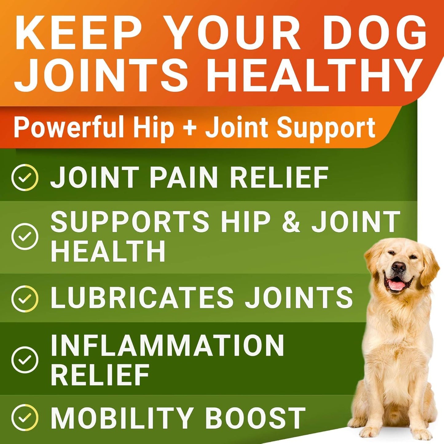 Hip & Joint Support Chews for Dogs | Glucosamine Supplement for Mobility