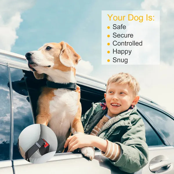 Dog Seat Belt Leash (2 Pack) – Adjustable Car Safety Harness for Dogs