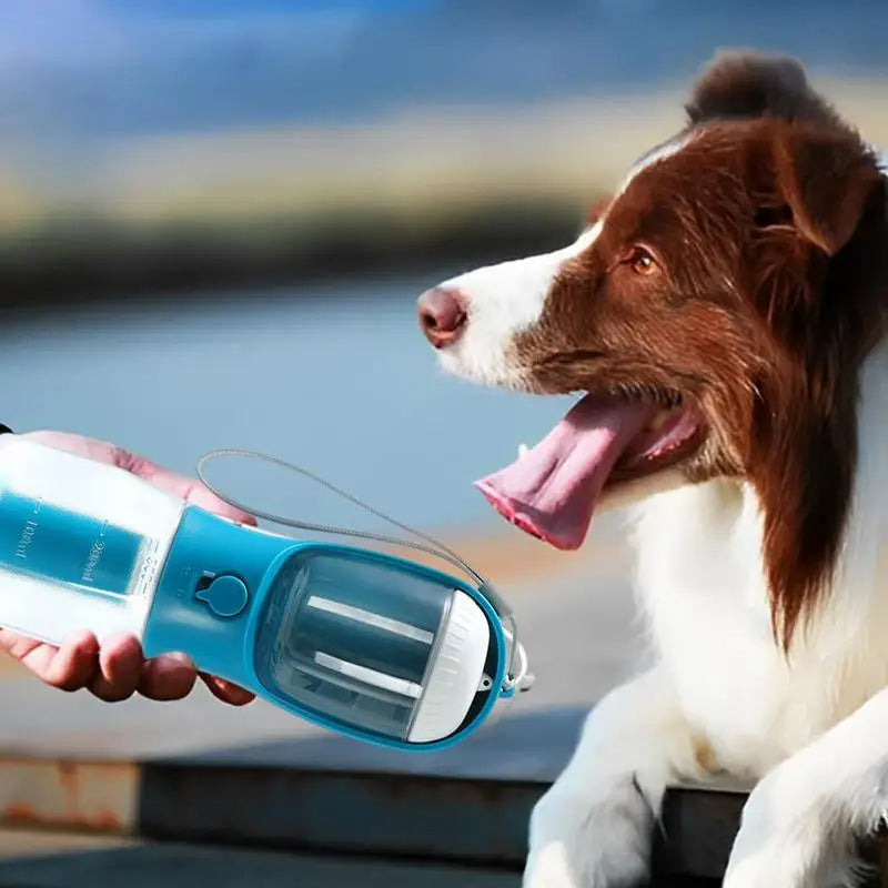 3-in-1 Dog Travel Water Bottle | Portable Water, Food & Waste Bag Cup