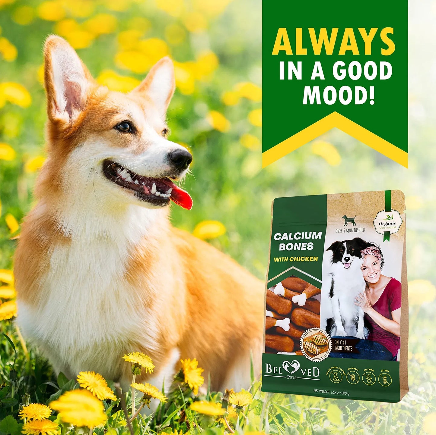 Chicken Wrapped Calcium Bones for Dogs | Rawhide-Free Chew Treats
