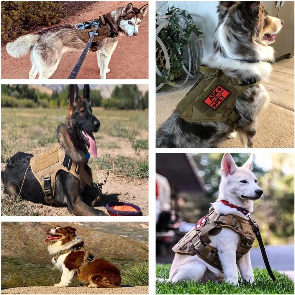 FriendyPet™ Luxury Dog Harness and Leash Set – Camouflage Nylon Harness