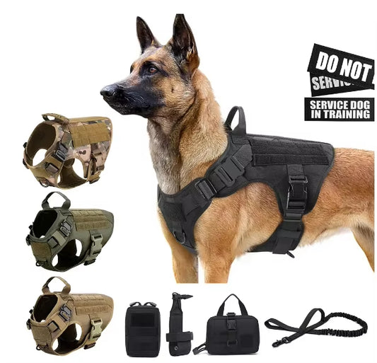 FriendyPet™ Luxury Dog Harness and Leash Set – Camouflage Nylon Harness