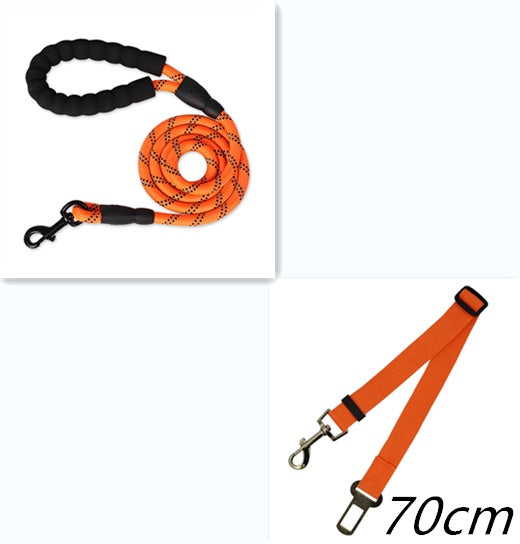 Reflective Dog Leash | Durable Nylon Training Leash for Small, Medium & Large Dogs