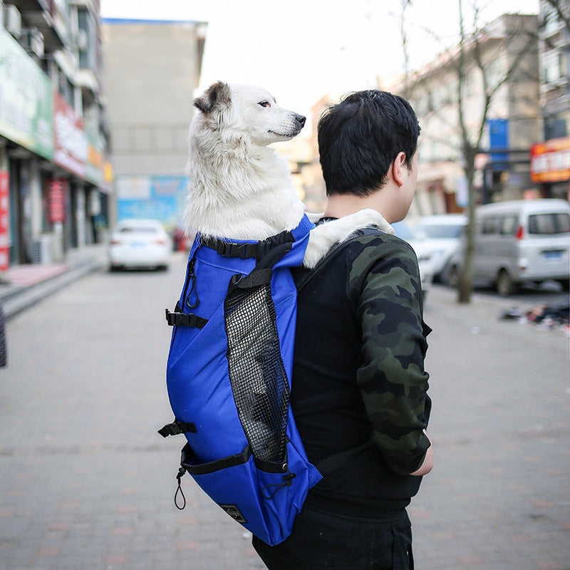 Dog Carrier Backpack | Portable Travel Backpack for Small Dogs