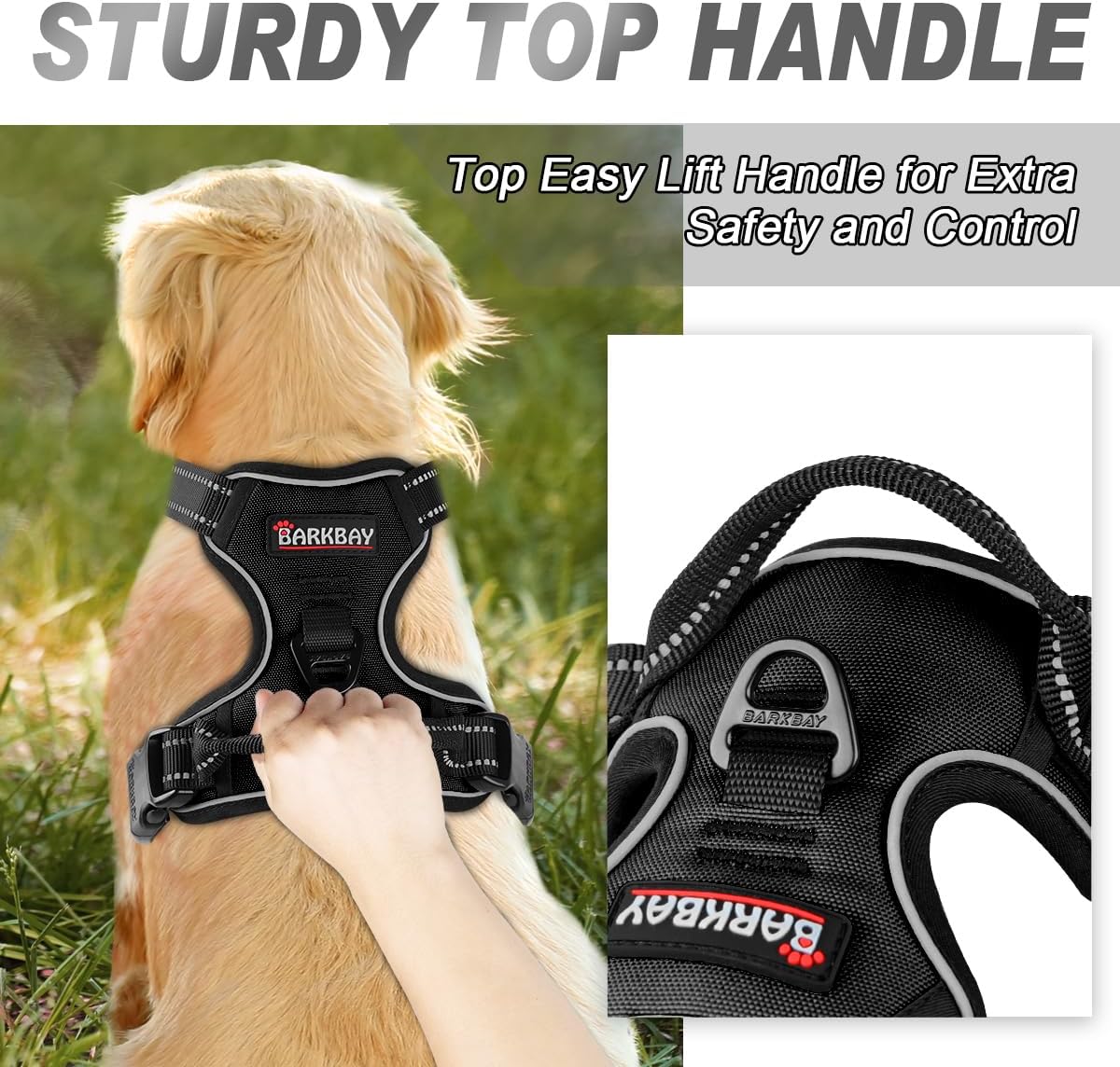 https://m.media-amazon.com/images/I/71NgJBtpVhL._AC_SL1200_.jpg