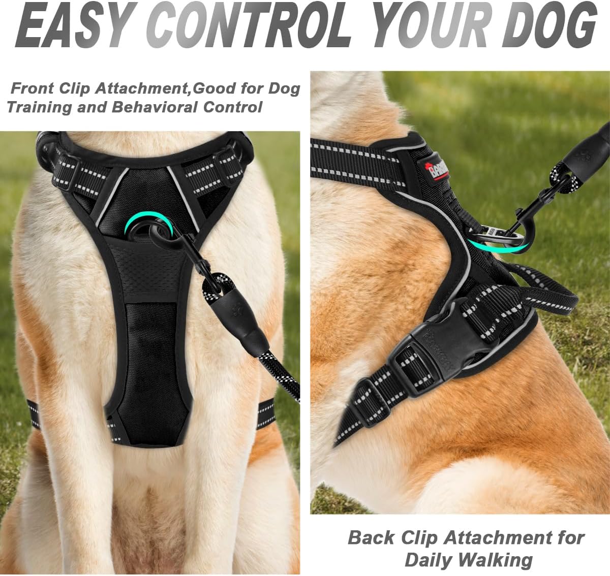 https://m.media-amazon.com/images/I/71blH+kJdoL._AC_SL1200_.jpg