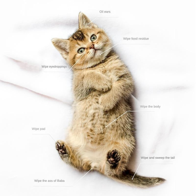 Pet Cleaning & Deodorizing Wipes | Hypoallergenic Grooming Wipes for Dogs & Cats