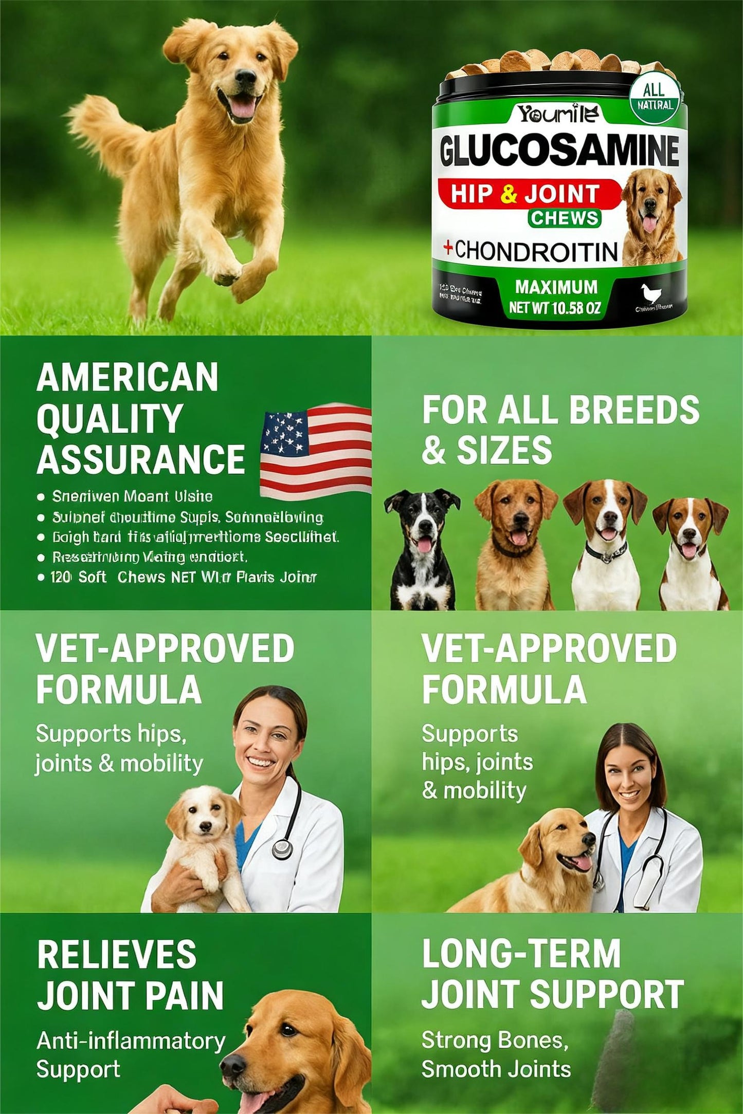 Hip & Joint Support Chews for Dogs | Glucosamine Supplement for Mobility