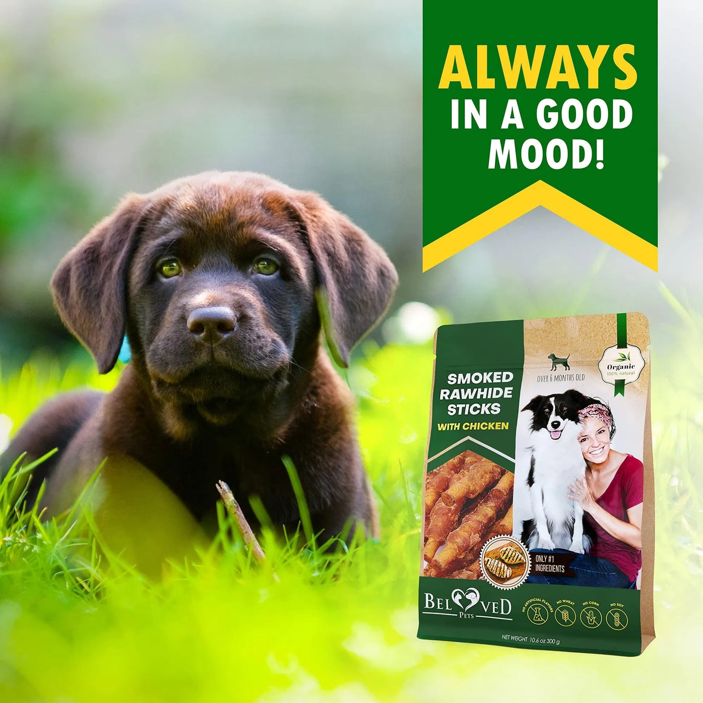 Chicken Wrapped Rawhide Sticks for Dogs | Natural Chew Treats